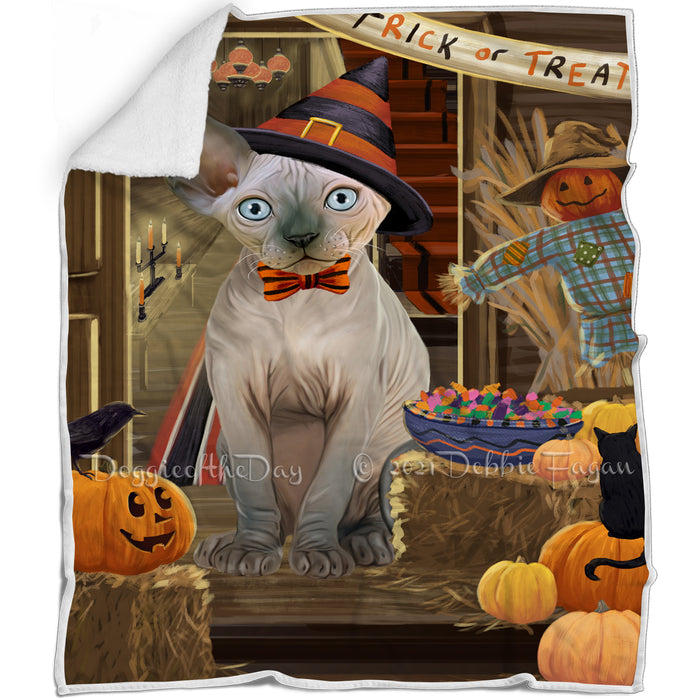Enter at Own Risk Trick or Treat Halloween Sphynx Cat Blanket BLNKT97113