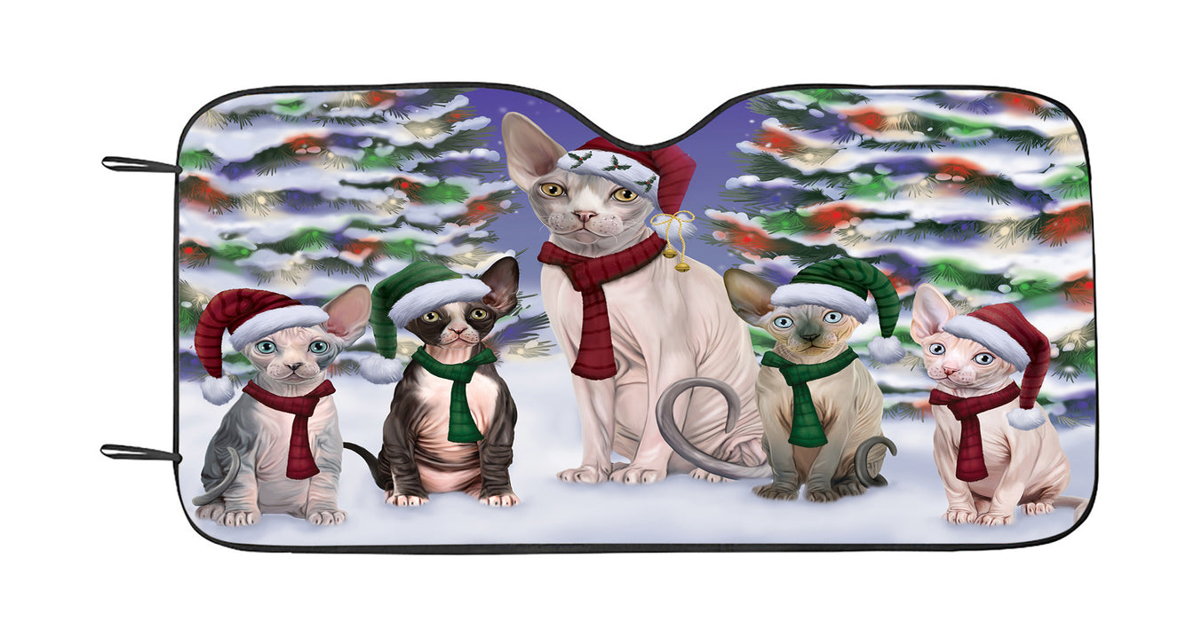 Sphynx Cats Christmas Family Portrait in Holiday Scenic Background Car Sun Shade