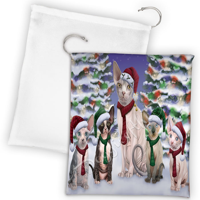 Sphynx Cats Christmas Family Portrait in Holiday Scenic Background Drawstring Laundry or Gift Bag LGB48180