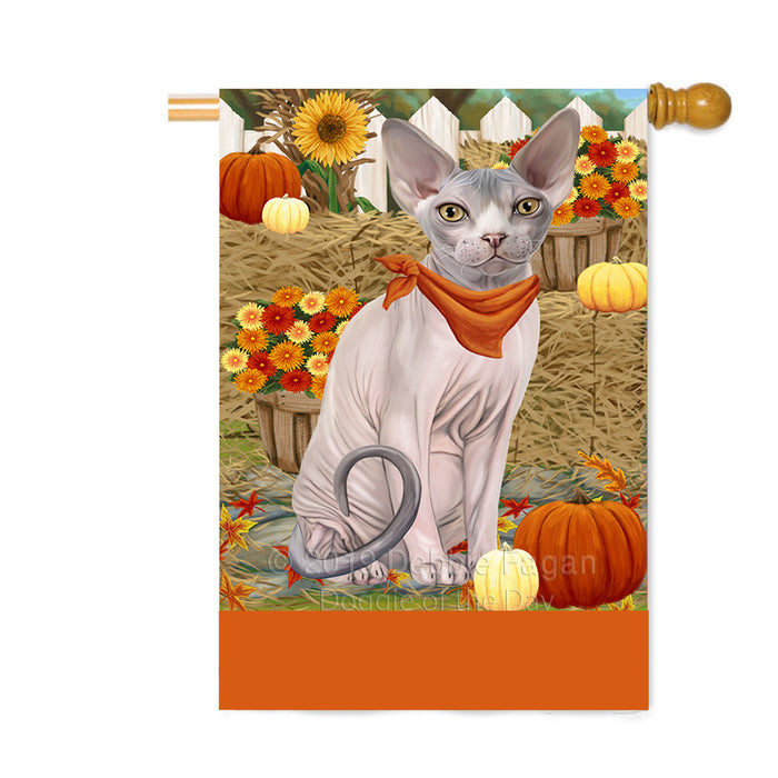 Personalized Fall Autumn Greeting Sphynx Cat with Pumpkins Custom House Flag FLG-DOTD-A62123