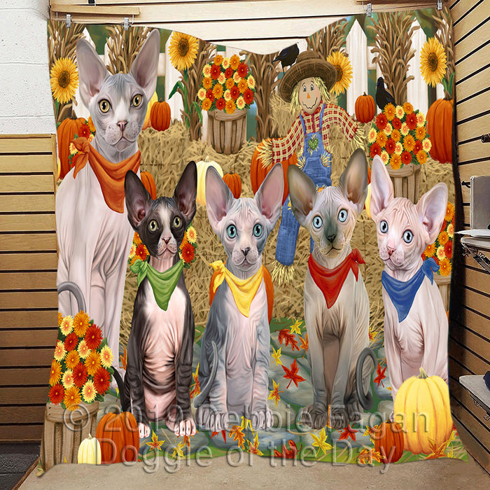 Fall Festive Harvest Time Gathering Sphynx Cats Quilt