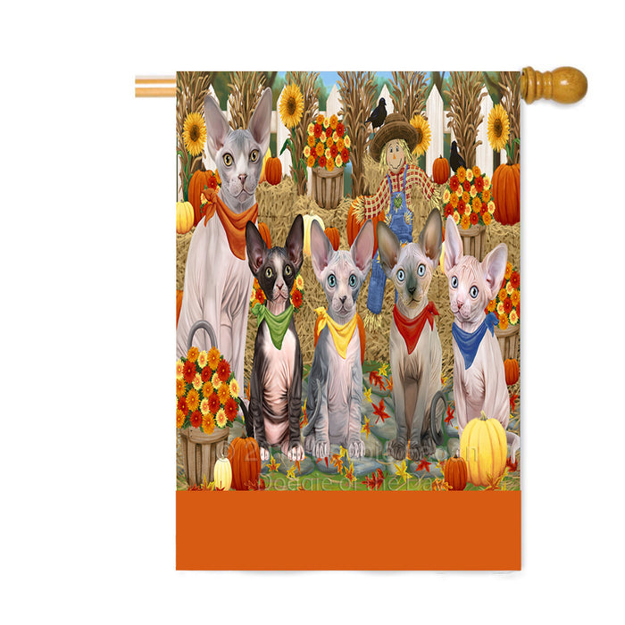 Personalized Fall Festive Gathering Sphynx Cats with Pumpkins Custom House Flag FLG-DOTD-A62124