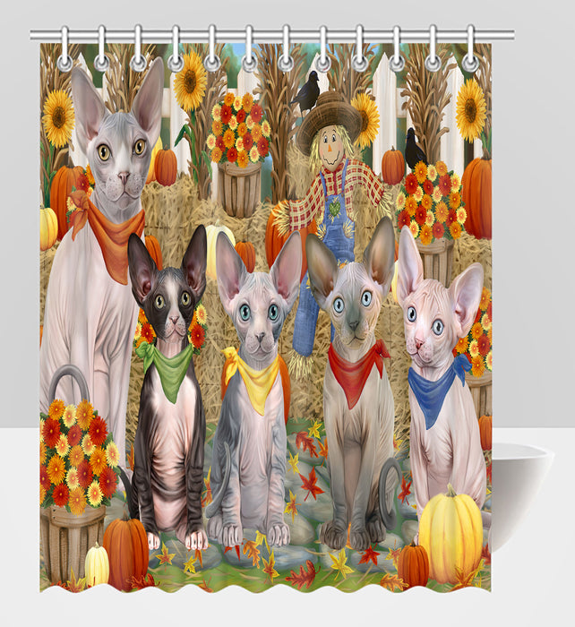 Fall Festive Harvest Time Gathering Sphynx Cats Shower Curtain