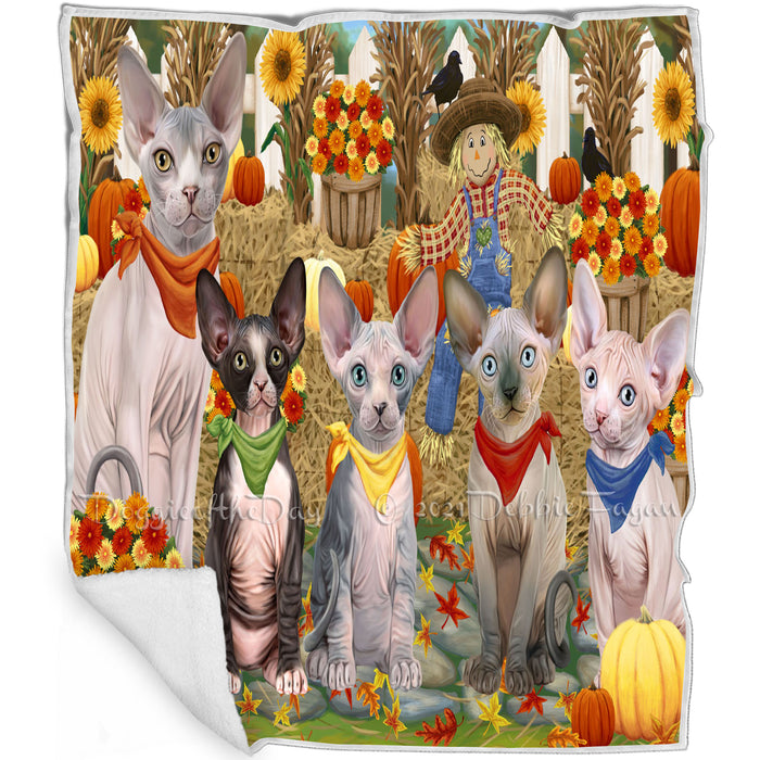 Fall Festive Gathering Sphynx Cats with Pumpkins Blanket BLNKT142420