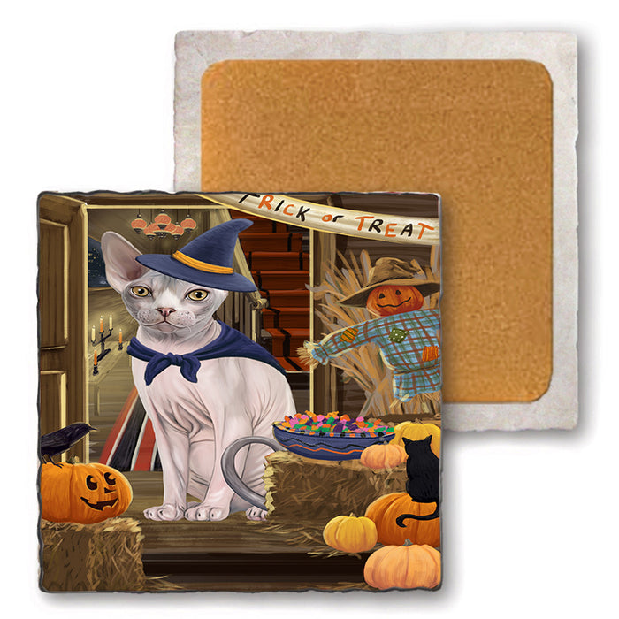 Enter at Own Risk Trick or Treat Halloween Sphynx Cat Set of 4 Natural Stone Marble Tile Coasters MCST48304