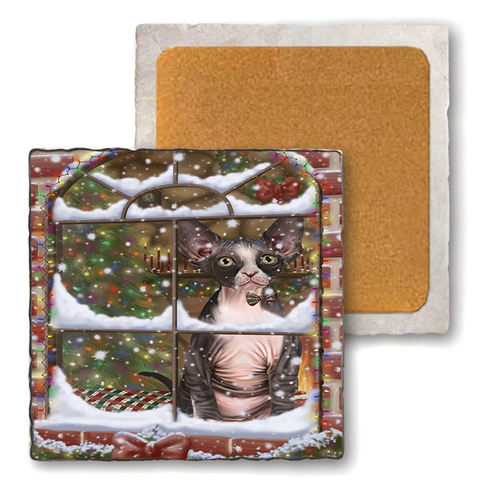 Please Come Home For Christmas Sphynx Cat Sitting In Window Set of 4 Natural Stone Marble Tile Coasters MCST48646