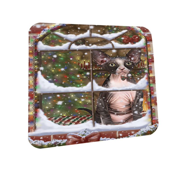 Please Come Home For Christmas Sphynx Cat Sitting In Window Coasters Set of 4 CST53604