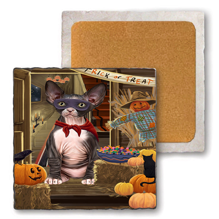 Enter at Own Risk Trick or Treat Halloween Sphynx Cat Set of 4 Natural Stone Marble Tile Coasters MCST48305