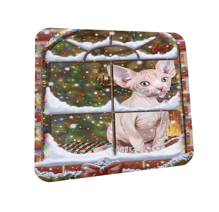 Please Come Home For Christmas Sphynx Cat Sitting In Window Coasters Set of 4 CST53605
