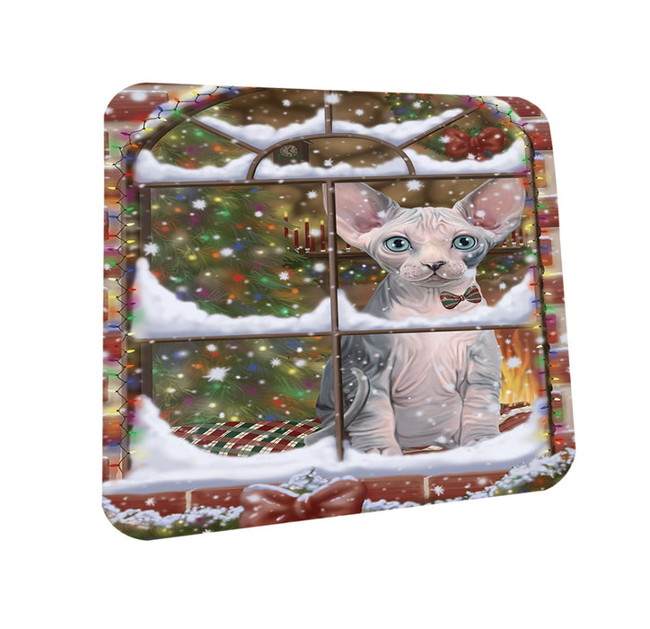 Please Come Home For Christmas Sphynx Cat Sitting In Window Coasters Set of 4 CST53606
