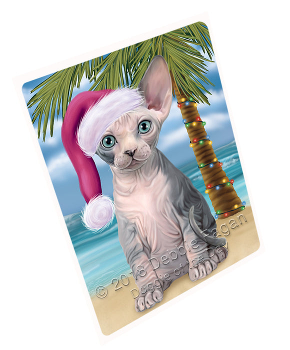 Summertime Happy Holidays Christmas Sphynx Cat on Tropical Island Beach Blanket BLNKT108597
