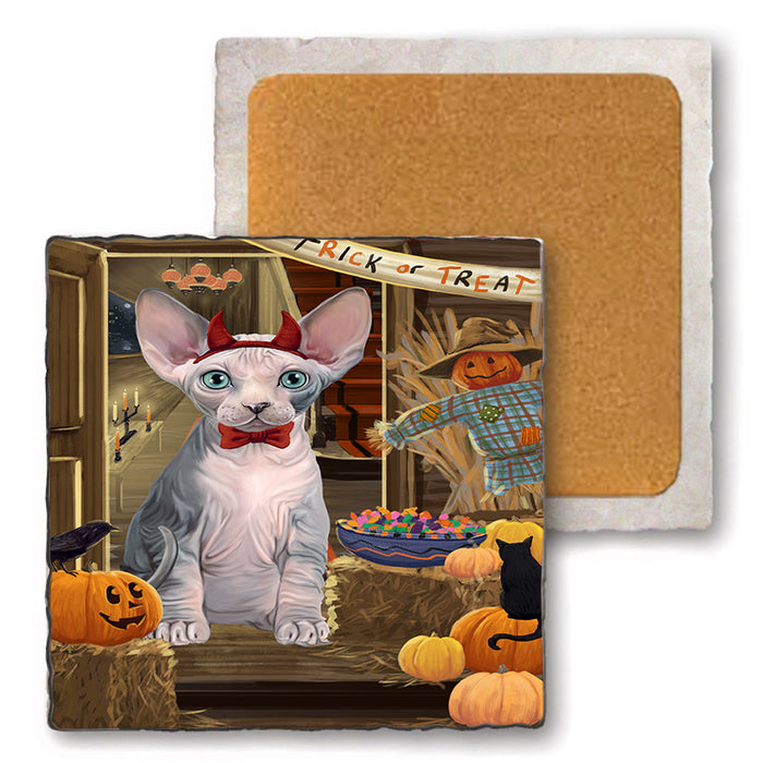 Enter at Own Risk Trick or Treat Halloween Sphynx Cat Set of 4 Natural Stone Marble Tile Coasters MCST48307