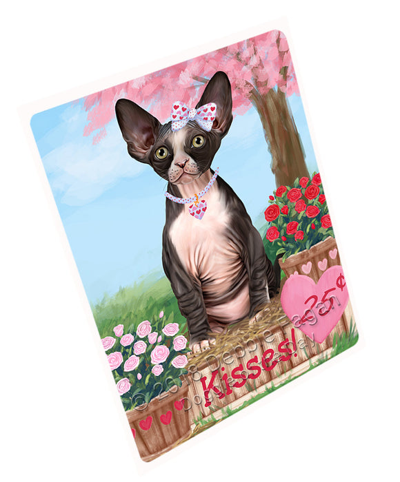Rosie 25 Cent Kisses Sphynx Cat Large Refrigerator / Dishwasher Magnet RMAG99738