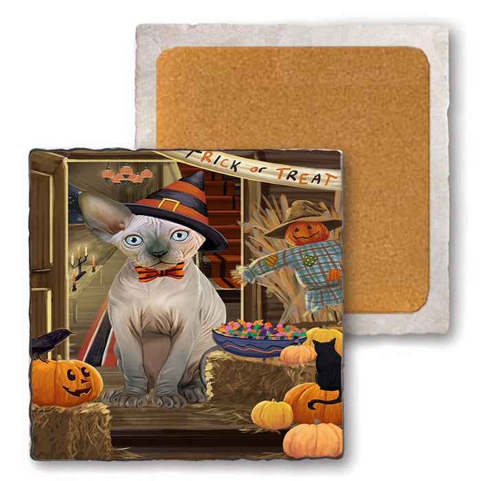 Enter at Own Risk Trick or Treat Halloween Sphynx Cat Set of 4 Natural Stone Marble Tile Coasters MCST48308