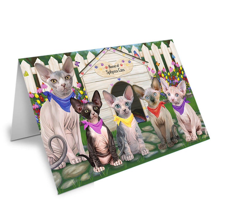 Spring Dog House Sphynx Cats Handmade Artwork Assorted Pets Greeting Cards and Note Cards with Envelopes for All Occasions and Holiday Seasons GCD60671