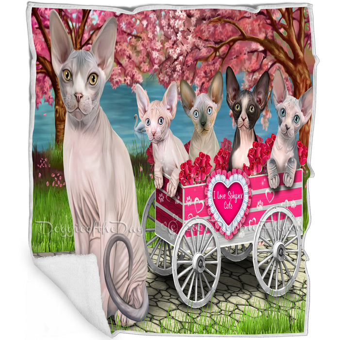 I Love Sphynx Cats Cat in a Cart Blanket BLNKT82119