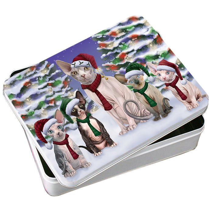 Sphynx Cats Christmas Family Portrait in Holiday Scenic Background Photo Storage Tin PITN52720