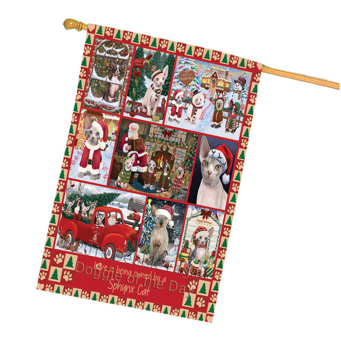 Love is Being Owned Christmas Sphynx Cats House Flag FLG66099