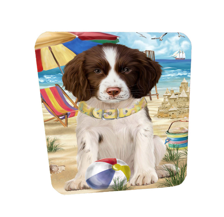 Pet Friendly Beach Springer Spaniel Dog Coasters Set of 4 CSTA58167