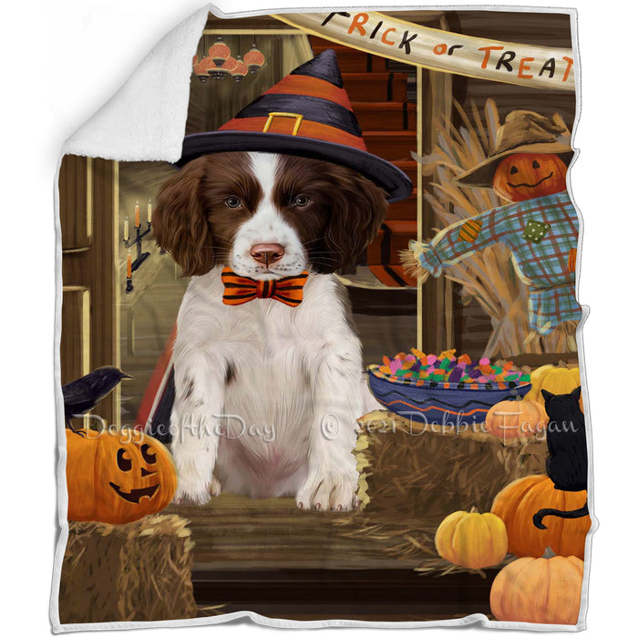 Enter at Own Risk Trick or Treat Halloween Springer Spaniel Dog Blanket BLNKT142640