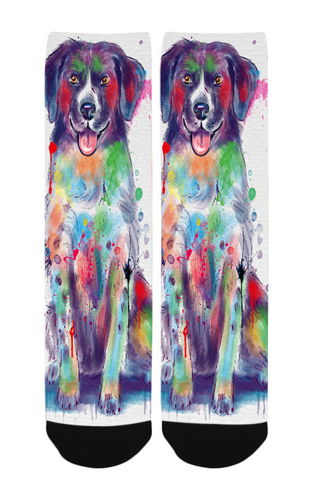 Watercolor Stabyhoun Dog Women's Casual Socks