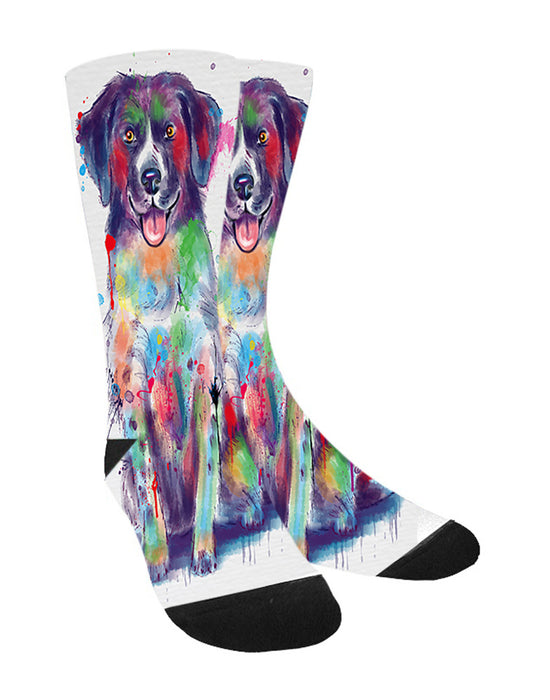 Watercolor Stabyhoun Dog Women's Casual Socks