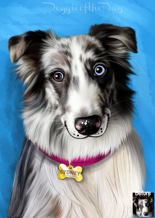 Digital Painting PERSONALIZED Caricature PET PORTRAIT! Custom Pet Dog or Cat Art