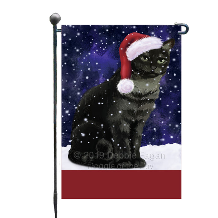 Personalized Let It Snow Happy Holidays Tabby Cat Custom Garden Flags GFLG-DOTD-A62463