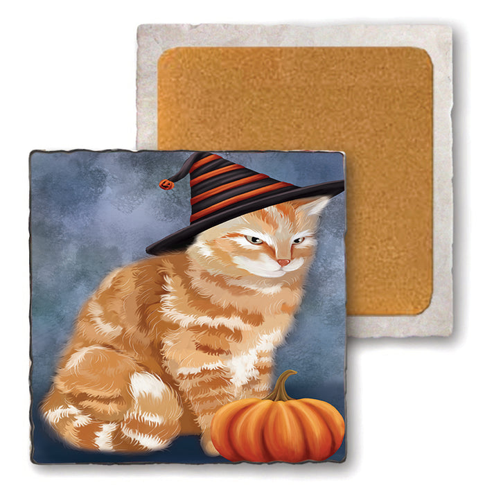 Happy Halloween Tabbie Cat Wearing Witch Hat with Pumpkin Set of 4 Natural Stone Marble Tile Coasters MCST49821