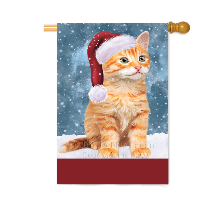 Personalized Let It Snow Happy Holidays Tabby Cat Custom House Flag FLG-DOTD-A62518