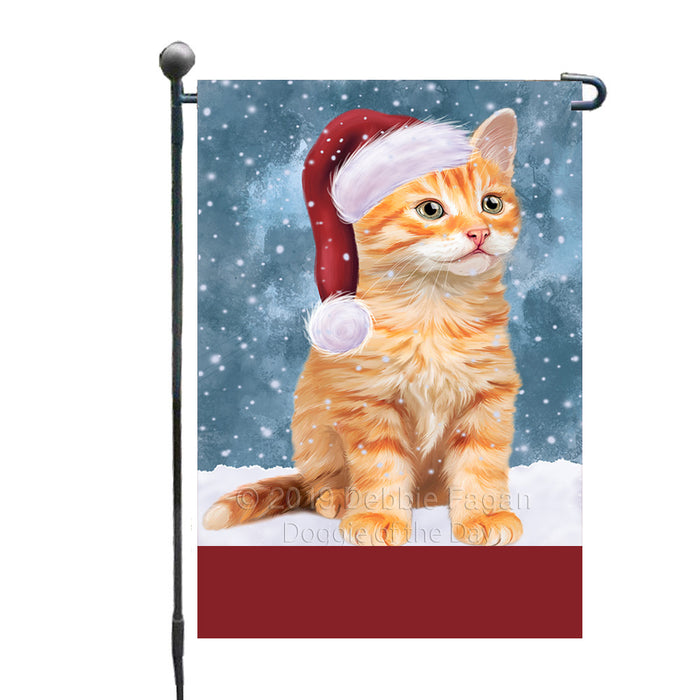 Personalized Let It Snow Happy Holidays Tabby Cat Custom Garden Flags GFLG-DOTD-A62462