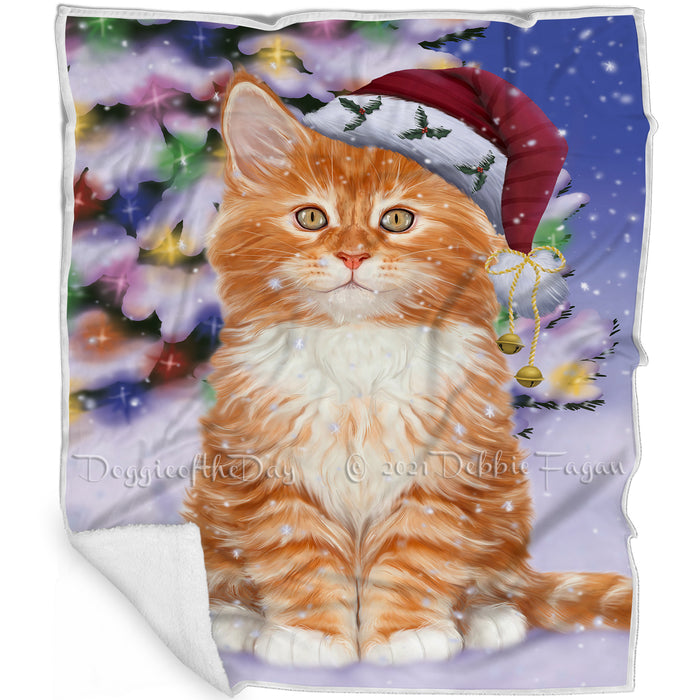 Winterland Wonderland Tabby Cat In Christmas Holiday Scenic Background Blanket BLNKT121026