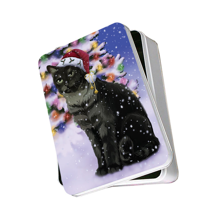 Winterland Wonderland Tabby Cat In Christmas Holiday Scenic Background Photo Storage Tin PITN55677