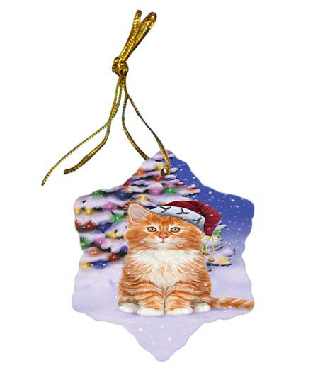 Winterland Wonderland Tabby Cat In Christmas Holiday Scenic Background Star Porcelain Ornament SPOR56091
