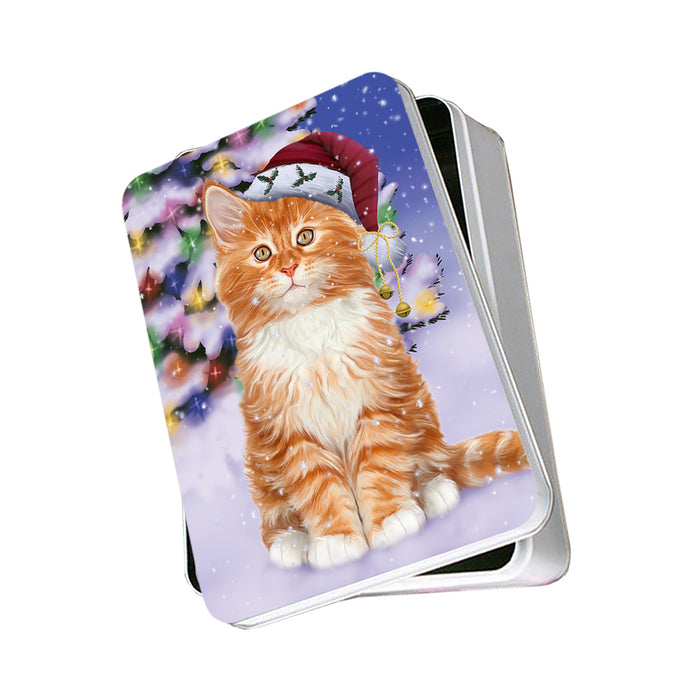 Winterland Wonderland Tabby Cat In Christmas Holiday Scenic Background Photo Storage Tin PITN55678