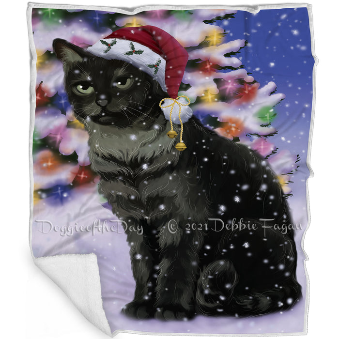 Winterland Wonderland Tabby Cat In Christmas Holiday Scenic Background Blanket BLNKT121035