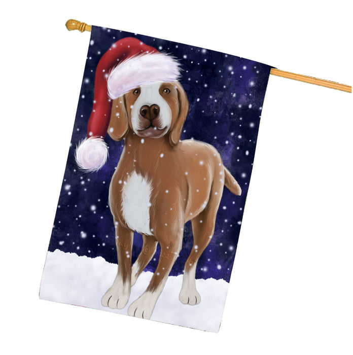 Christmas Let it Snow Tarsus Atalburun Dog House Flag Outdoor Decorative Double Sided Pet Portrait Weather Resistant Premium Quality Animal Printed Home Decorative Flags 100% Polyester FLG67920