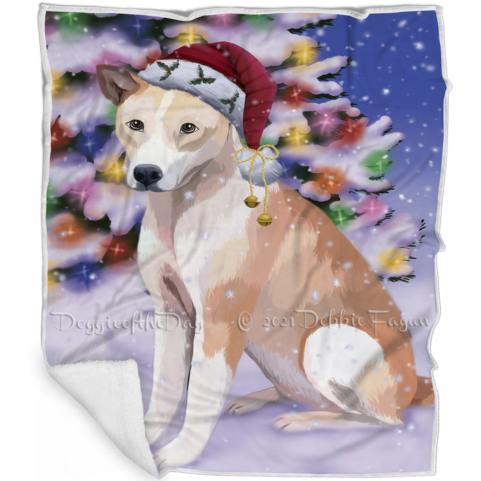 Winterland Wonderland Telomian Dog In Christmas Holiday Scenic Background Blanket BLNKT121044