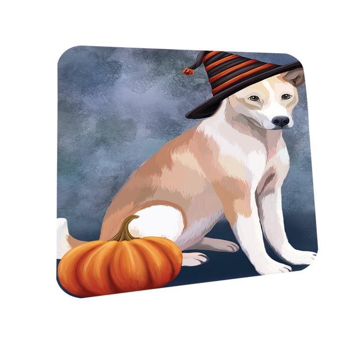 Happy Halloween Telomian Dog Wearing Witch Hat with Pumpkin Coasters Set of 4 CST54780