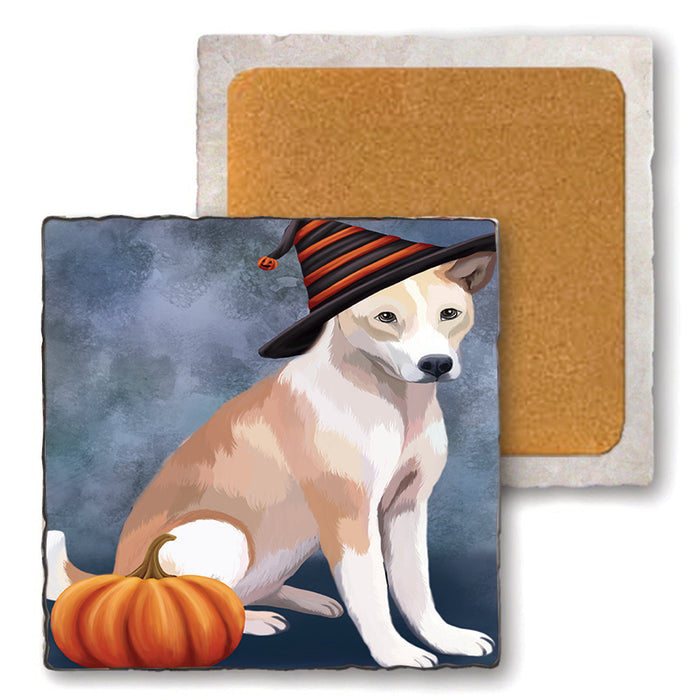 Happy Halloween Telomian Dog Wearing Witch Hat with Pumpkin Set of 4 Natural Stone Marble Tile Coasters MCST49822