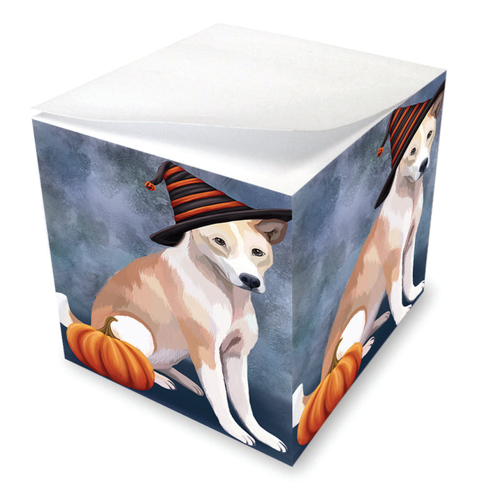 Happy Halloween Telomian Dog Wearing Witch Hat with Pumpkin Note Cube NOC56468