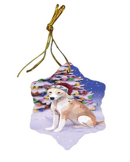 Winterland Wonderland Telomian Dog In Christmas Holiday Scenic Background Star Porcelain Ornament SPOR56092
