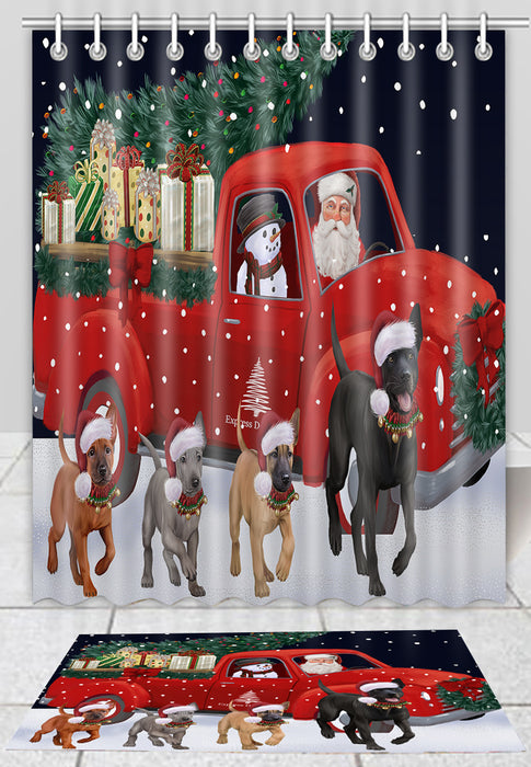 Christmas Express Delivery Red Truck Running Thai Ridgeback Dogs Bath Mat and Shower Curtain Combo