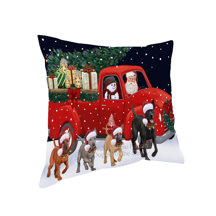 Christmas Express Delivery Red Truck Running Thai Ridgeback Dogs Pillow PIL86220