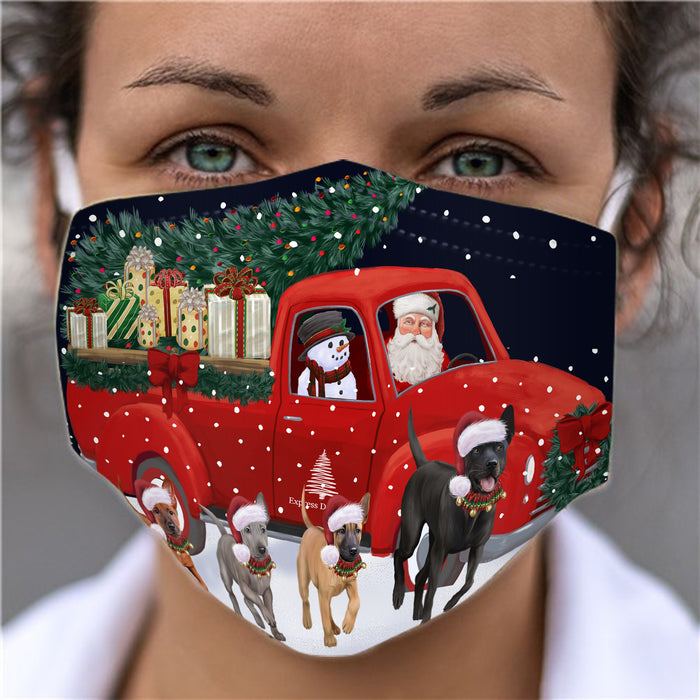 Christmas Express Delivery Red Truck Running Thai Ridgeback Dogs Face Mask FM49903