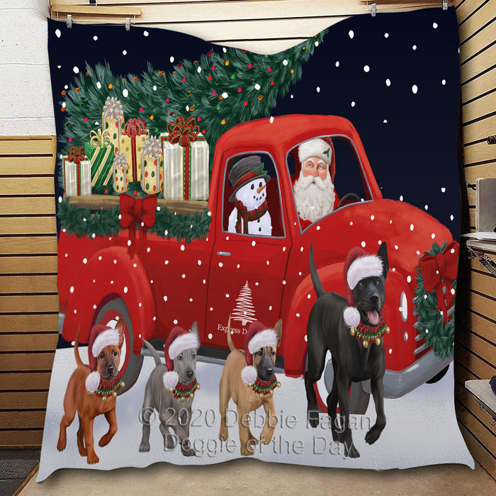 Christmas Express Delivery Red Truck Running Thai Ridgeback Dogs Lightweight Soft Bedspread Coverlet Bedding Quilt QUILT60081