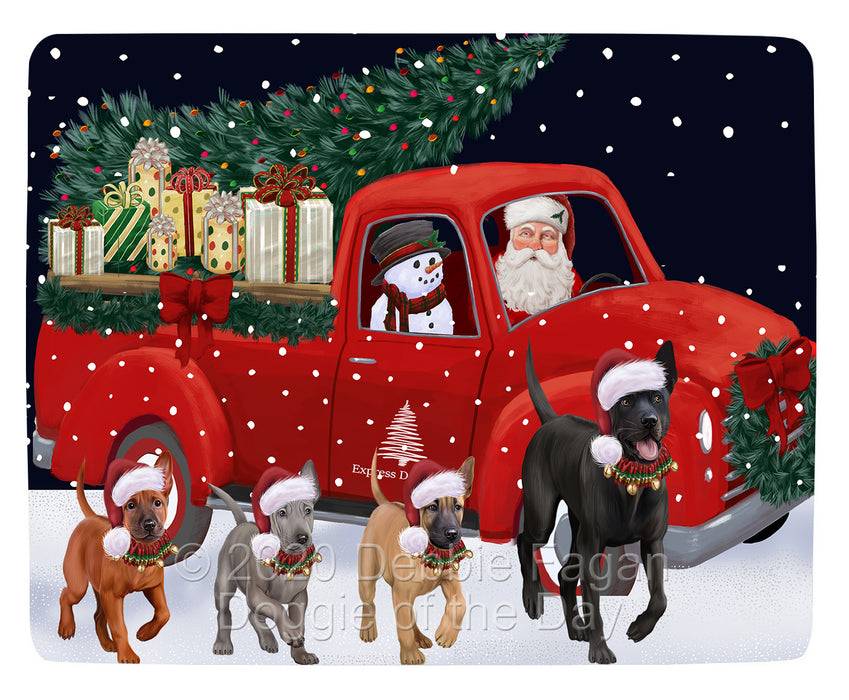 Christmas Express Delivery Red Truck Running Thai Ridgeback Dogs Blanket BLNKT141988