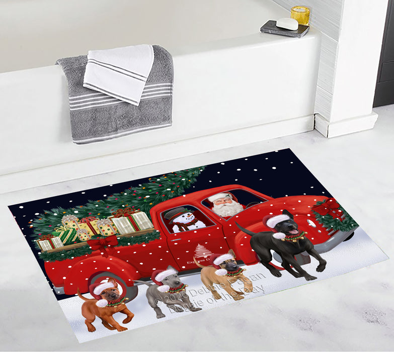 Christmas Express Delivery Red Truck Running Thai Ridgeback Dogs Bath Mat BRUG53608