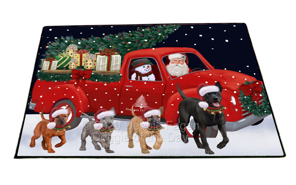 Christmas Express Delivery Red Truck Running Thai Ridgeback Dogs Indoor/Outdoor Welcome Floormat - Premium Quality Washable Anti-Slip Doormat Rug FLMS56725