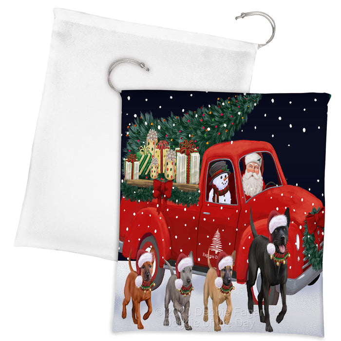 Christmas Express Delivery Red Truck Running Thai Ridgeback Dogs Drawstring Laundry or Gift Bag LGB48936